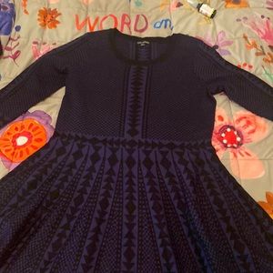 Flaired skirt sweater Dress XXL